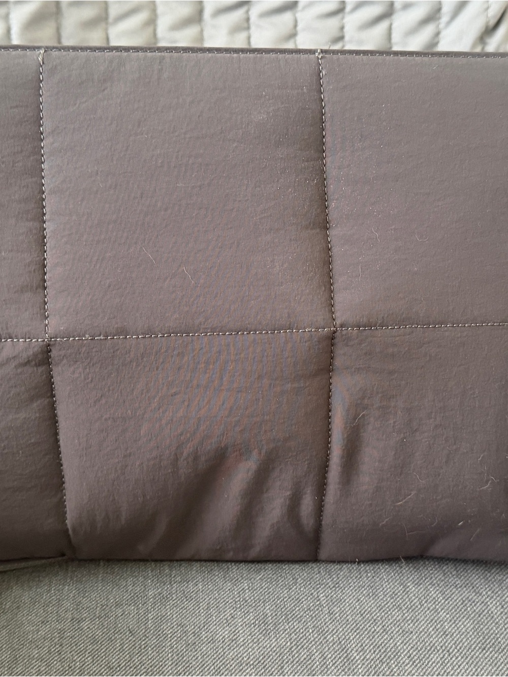 LuxSoft Quilted Pillow Sham - Brown